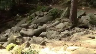 Felsenmeer Reichenbach im Lautertal