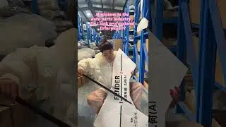 Do I look professional Erhu player?#autoparts #warehouse #Geely#Coolray #EX5