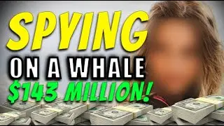 Spying on a Cryptocurrency Whale and Copying Her Trades and Making Whale Money