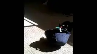 Inky minky playing