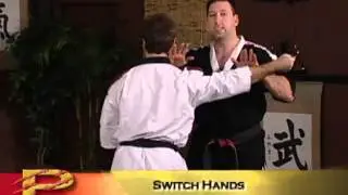 Volume 8: Pressure Point Sticking Hands and Other Two-Person Drills part 4