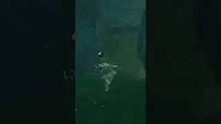 When a boulder jumpscares you [Zelda Breath of the Wild] #BOTW
