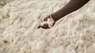 Spinning Yarn Process  / Tour of Yarn Manufacturing Process