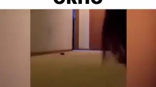 Наташа, да закрой же ты уже окно! 😂