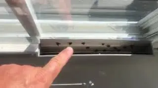 Dr. Killigan's The Fly Inn Window Fly Traps Sticky Fly Strip Indoor Insect Trap Review Do They Work?
