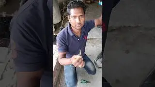 #bike Bajaj Pulsar 220 fuge short circuit#shortsvideo #youtubeshorts #viral