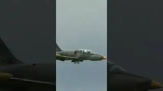 Large L-39 Albatros Jet Turbine RC in Low Pass