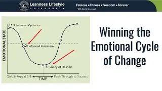 Winning the Emotional Cycle of Change