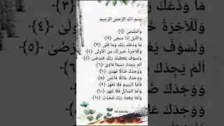 Wad duha Surah. Egzon Ibrahimi Arabic Reaction. Quran Tilawat Shorts. SR.Islamic Like Subscribe