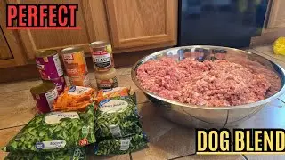 Is Raw Dog Food More Expensive Than Kibble? (Cost Breakdown!)