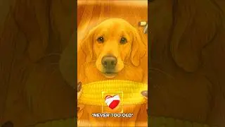 This Dog Learned How To Eat Corn on the Cob 🥰 #shorts
