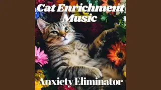 Calm Tail Tunes