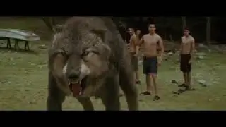 D&ouml;y&uuml;ş səhnəsi.CANAVAR