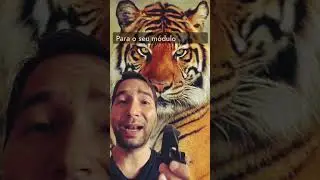 Voc&ecirc; usa Trigger ou Tigre? #rolandbrasil #triggers #andrepolvo