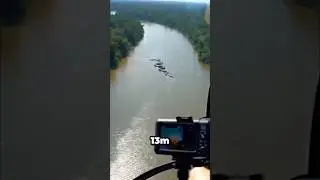 Curiosidades Animales que no Sab&iacute;as
