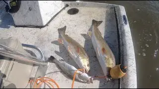 Fall Season Fishing the Marsh with the Skelly Swim 11/20 Freeport TX