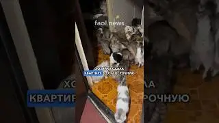 😳 Вот что бывает, когда сдаешь квартиру в долгосрок. Кто тут прав? Пишите в комментариях.