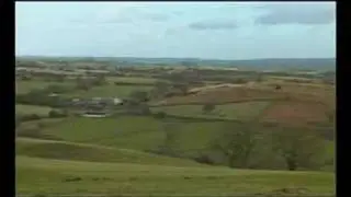 Documentary: Importing Meat