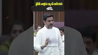 ర్యాంప్ ఆడించిన లోకేష్ | Nara Lokesh Strong Counter to YCP MLC Madhava Rao in AP Council | GVK