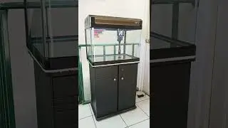 presentación de mi acuario boyu EA60         (99 litros).