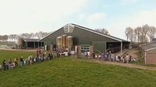 Koeiendans Melkveebedrijf van Leeuwen met Drone