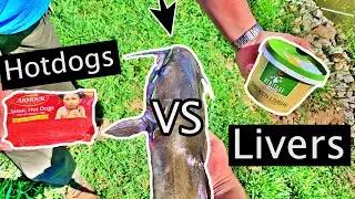 Best Catfish Bait Challenge!! (Hotdogs vs Chicken Livers!!)