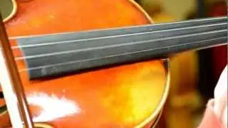 Century Strings Antonio Fiorini Model