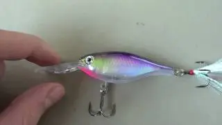 Rapala X-Rap Shad 06