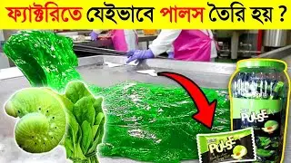 দেখুন ফ্যাক্টরিতে কিভাবে তৈরি হচ্ছে (Pulse) চকলেট 😱😱 || How is 'PULSE' candy made in factory?
