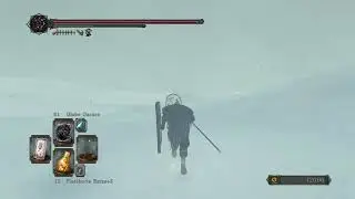 Dark Souls 2 Lud And Zallen,The King's Pets Secret Bosses Location