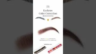 🎯【Brow Color Correction | Fixing Old Red & Grey Tones with Precision】#ashybrowfix #pmupigments