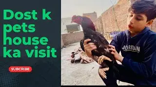Dost K Pets House Ka Visit Kiya 🥰 must watch and subscribe TriZooLa 🦅🦅