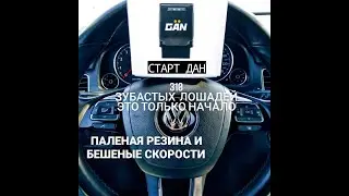 чип тюнинг TOUAREG NF 3.6 (VR6 FSI) - прошивка на 249/280/300 л.с СТАРТ проекта 