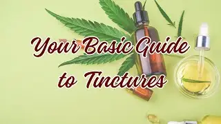 🌿✨Unlock Herbal Wellness: Your Basic Guide to Tinctures! 🌿✨