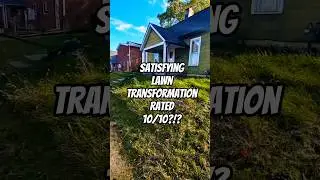 Watch This Abandoned Inherited Lawn Get a Meaningful Transformation