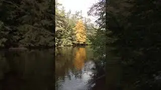 Ashuelot River Swanzey New Hampshire