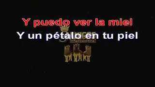 Oye mujer (Kareoke)