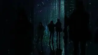 Tokyo digital light museum