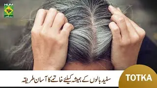 Reverse Grey Hair Naturally | Dr. Hakeem Syed A.N. Askari | Lively Weekend | Masala TV