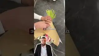 Хотите получить лучшее предложение от голландских производителей, переходите в телеграм