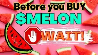 ❌ Do not buy MELON Token in IDO without watching this video!