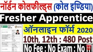 NCL Apprentice Online Form 2020 Kaise Bhare &brvbar;&brvbar; How to Fill NCL Apprentice Form 2020 &brvbar; NCL Form Apply