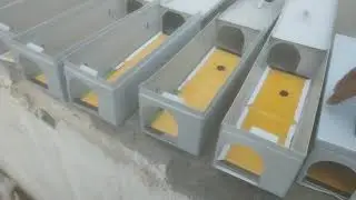 Rats control treatment                                          best rat control pesticide
