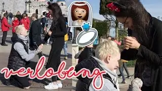 SCHÖNSTER HEIRATSANTRAG IM DISNEYLAND! ICH SAGE JA! DynamitesLife