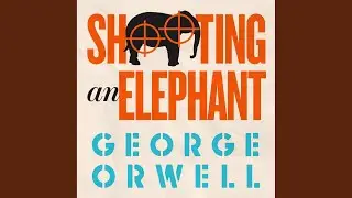 Chapter 04 - Shooting an Elephant