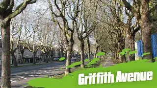 Griffith Avenue Dublin - The longest Tree Lined Residential Avenue in Europe