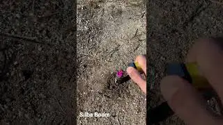 Silva Boom / Cialfir