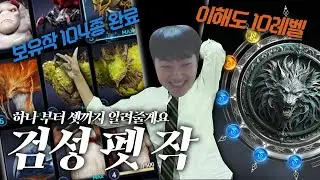 [아이온2] 아이온2 펫 작 검성은 어떻게 하나요? 궁금하다면 당장 이 영상을 정독해라! 검성 펫 작의 반쯤 찢긴 교과서!