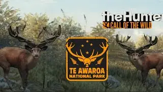 Shooting Red deer on Te Awaroa to get ready for new Scotland map coming soon.