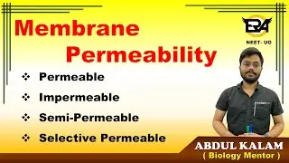 Membrane permeability || Permeable || Semi-permeable || impermeable || Selective permeable || NEET